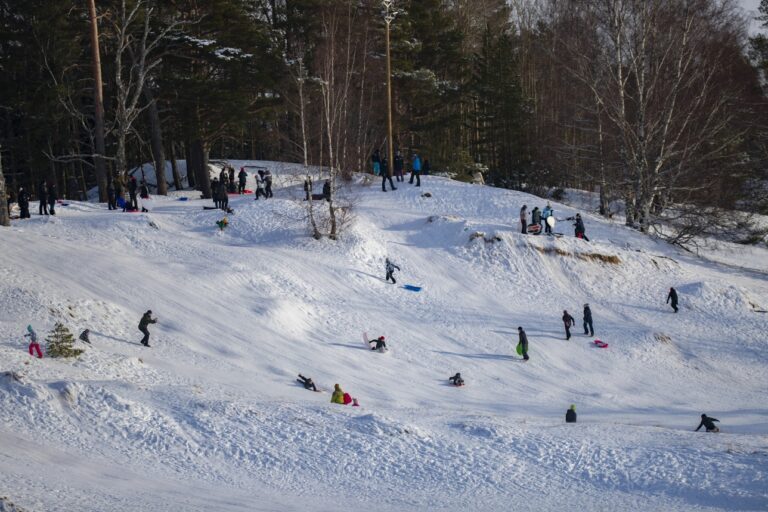 Pulkkamäki Yyterissä