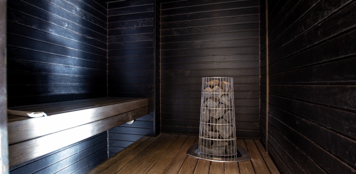 Torget Aparthotel, sauna