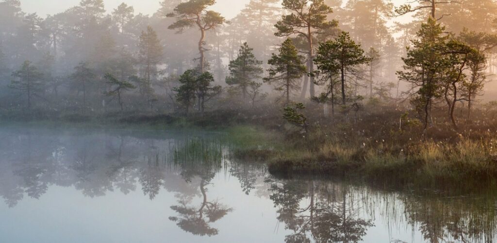 Lauhavuori-Hämeenkangas Geopark, Kauhaneva in the fog