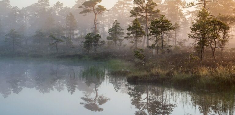 Lauhavuori-Hämeenkangas Geopark, Kauhaneva sumussa