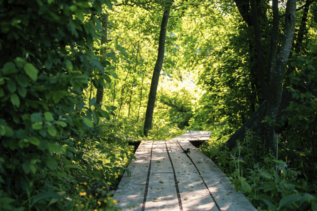 Nature trail in Polsanluoto