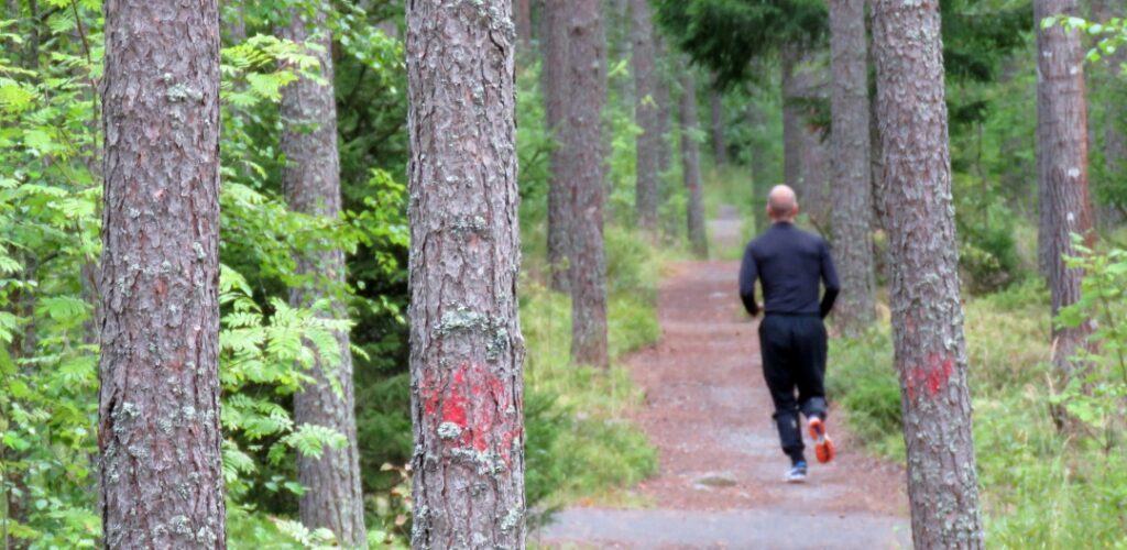 Runner in the Pori forest