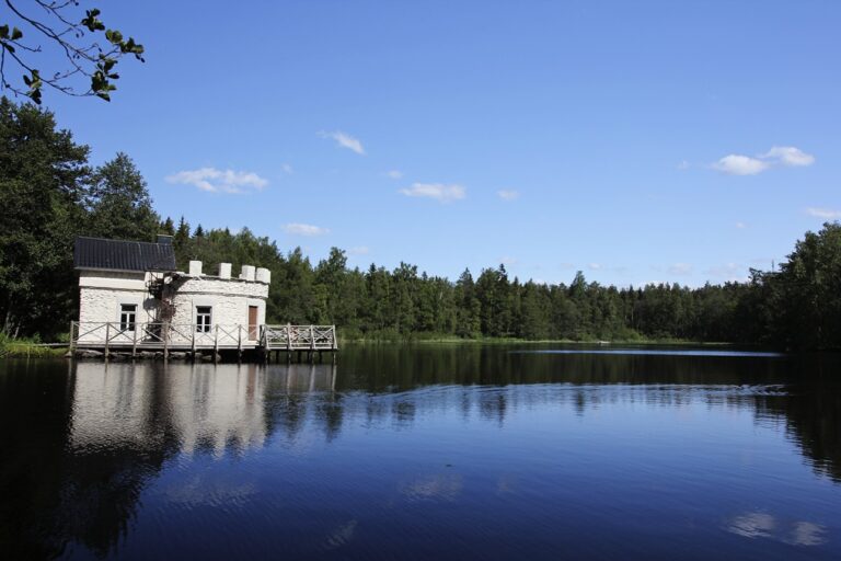 A pond in Reposaari