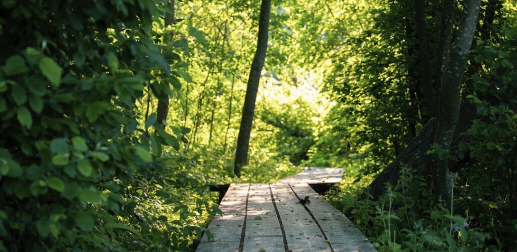 Polsanluoto hiking trail