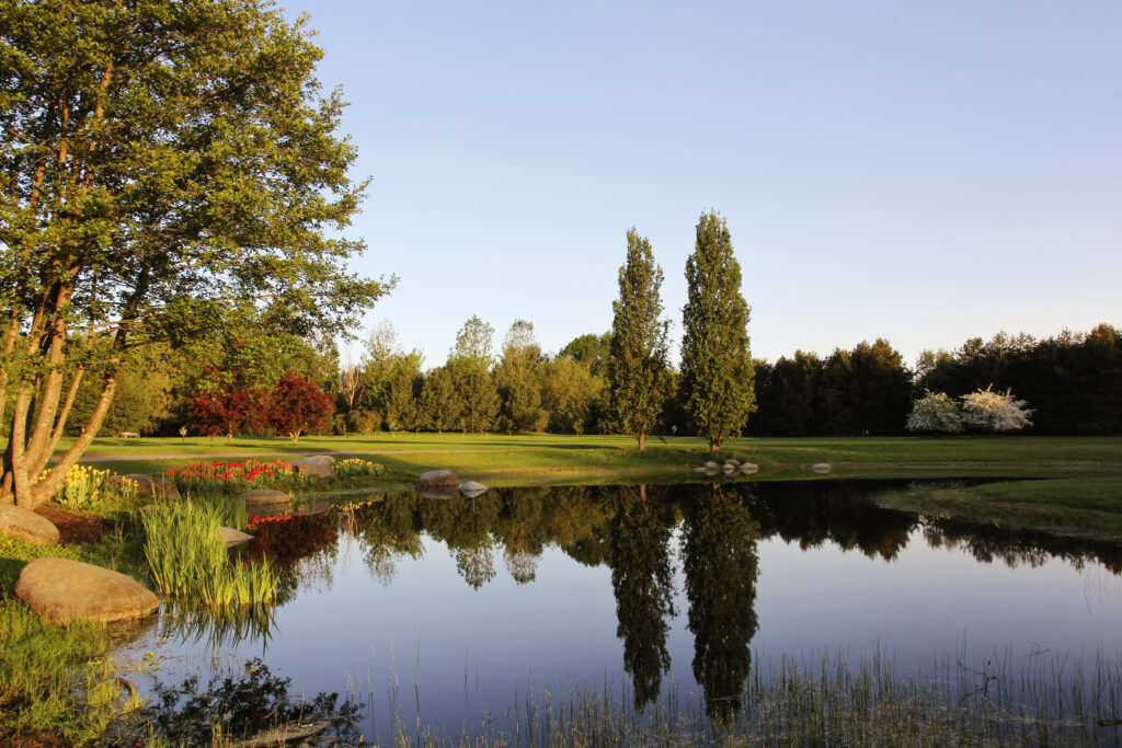 A pond in Kirjurinluoto