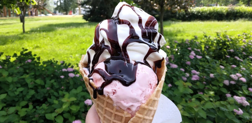 Viksu cafe icecream