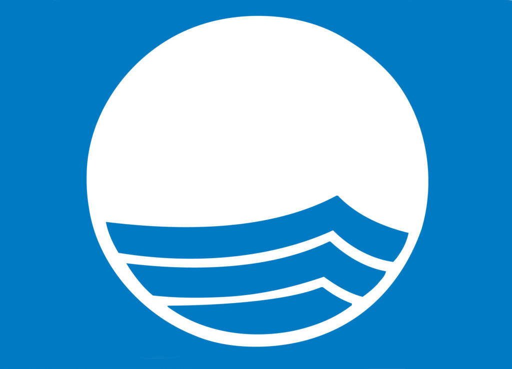 Blue flag logo