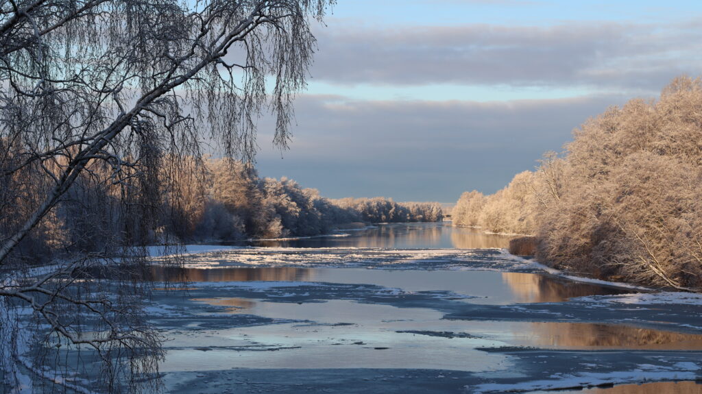 Kokemäenjoki talvella ja lumisia puita