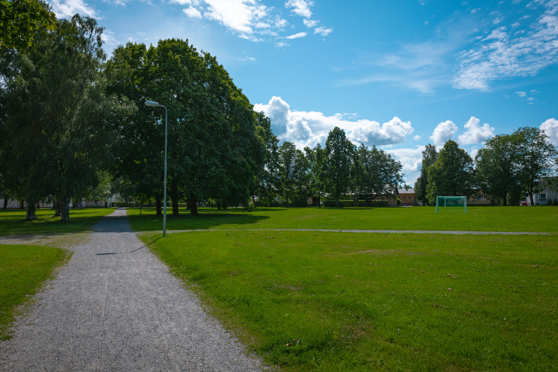 puisto, soratie ja puita