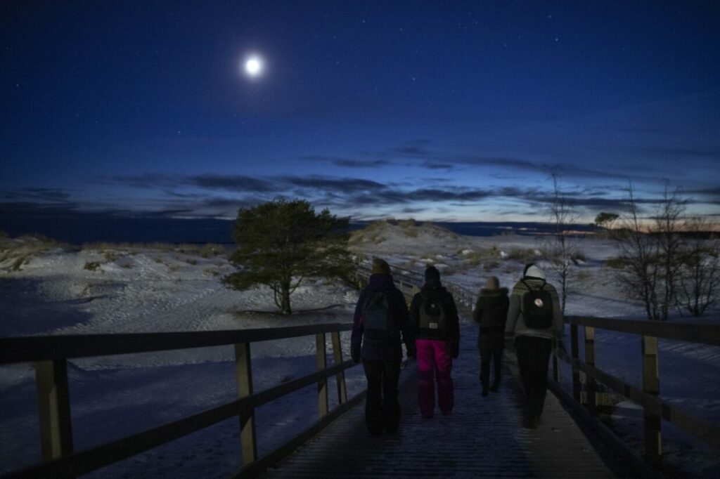 People walking towards the beach at night time in moonlight