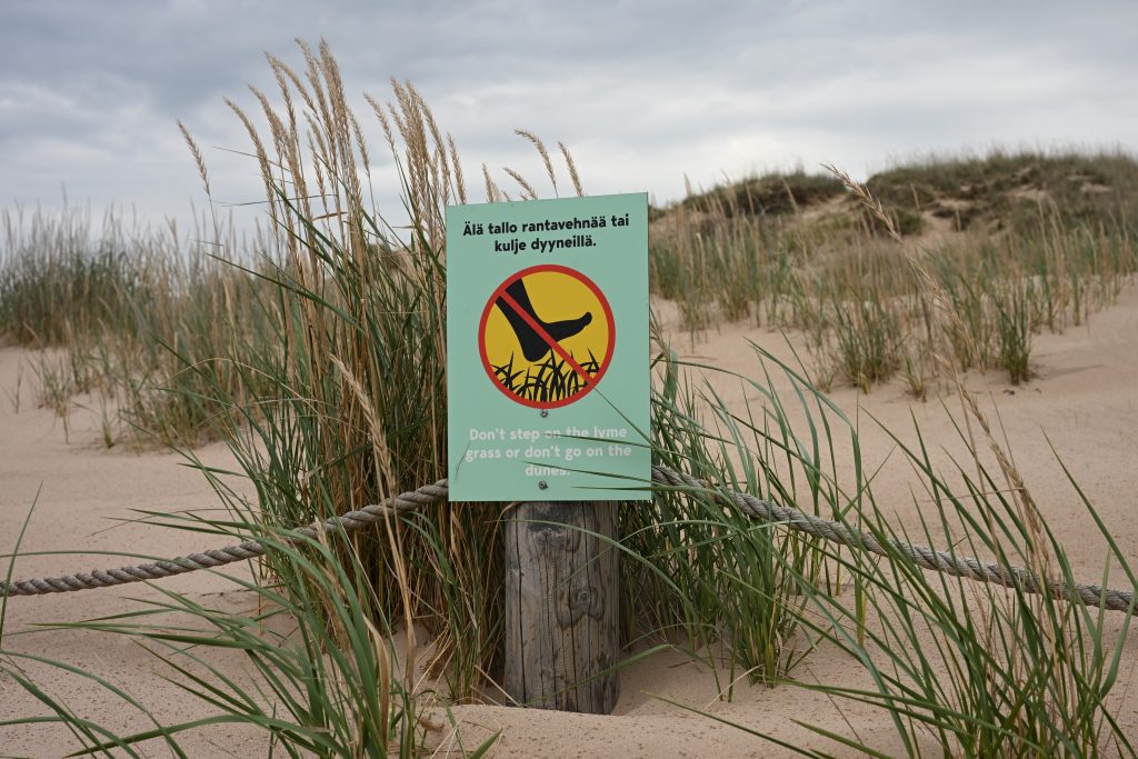 Tallomisen kieltävä kyltti rantavehnäkasvuston edessä hiekkadyynillä